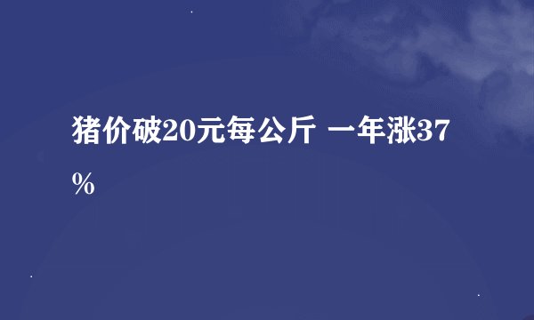 猪价破20元每公斤 一年涨37%