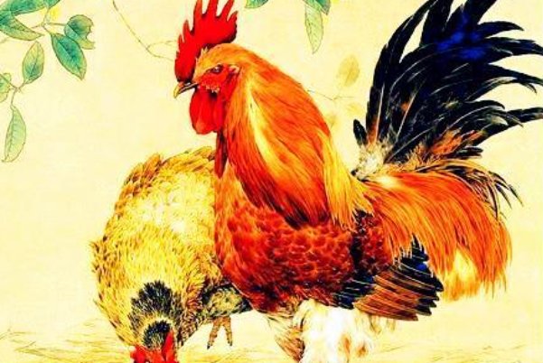 哪个动物飘飘欲仙打一生肖