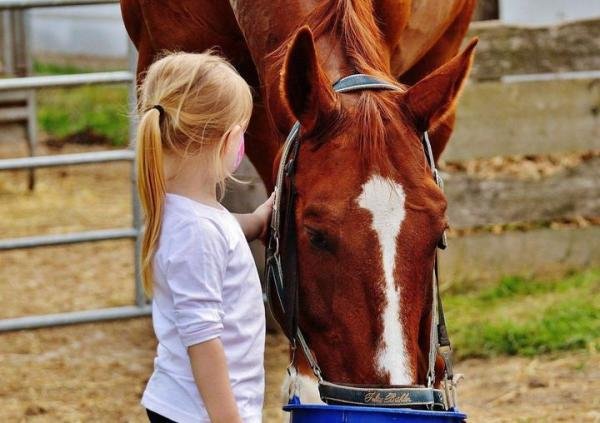 8月16日 盈利老哥 澳大利亚vs英格兰女 曼城vs塞维利亚