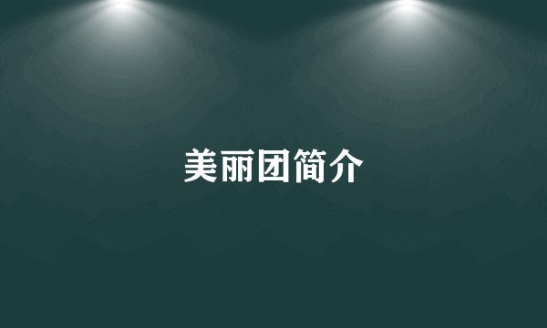 美丽团简介