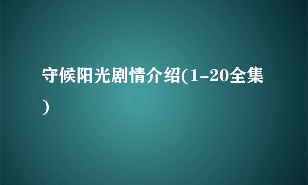 守候阳光剧情介绍(1-20全集)
