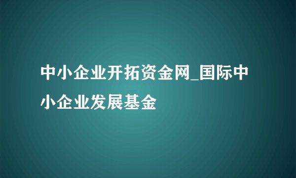 中小企业开拓资金网_国际中小企业发展基金