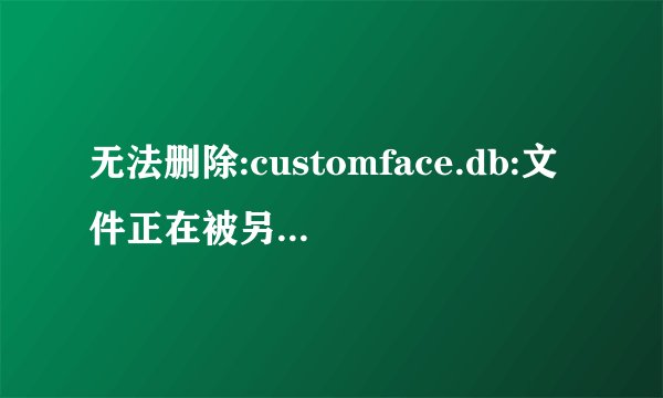 无法删除:customface.db:文件正在被另一个人或程序使用.