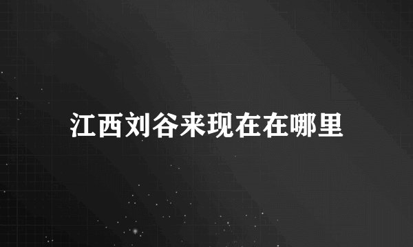 江西刘谷来现在在哪里