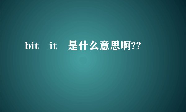 bit it 是什么意思啊??