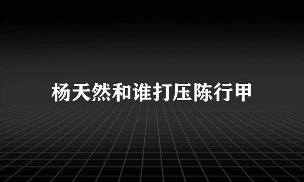杨天然和谁打压陈行甲