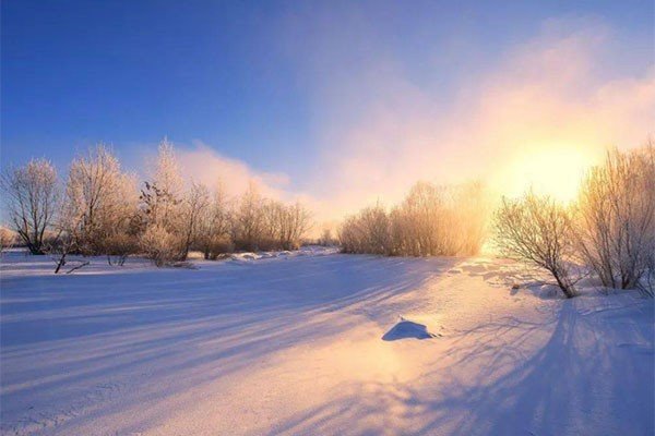 数九寒天是指什么动物？