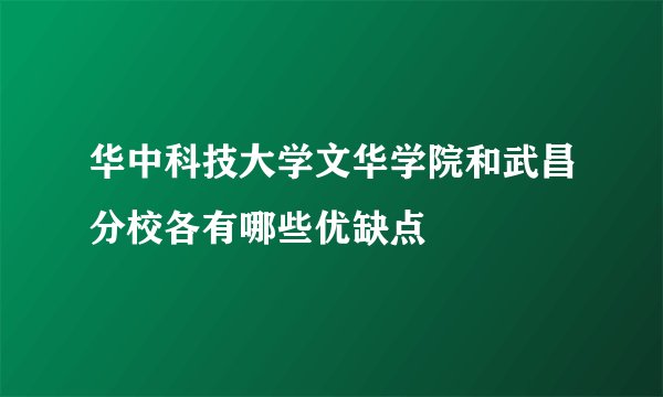 华中科技大学文华学院和武昌分校各有哪些优缺点