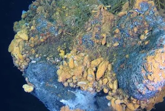 硫化物的颜色及溶解性规律有哪些