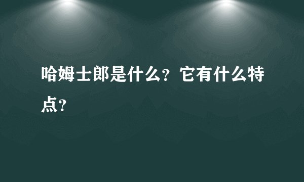 哈姆士郎是什么？它有什么特点？