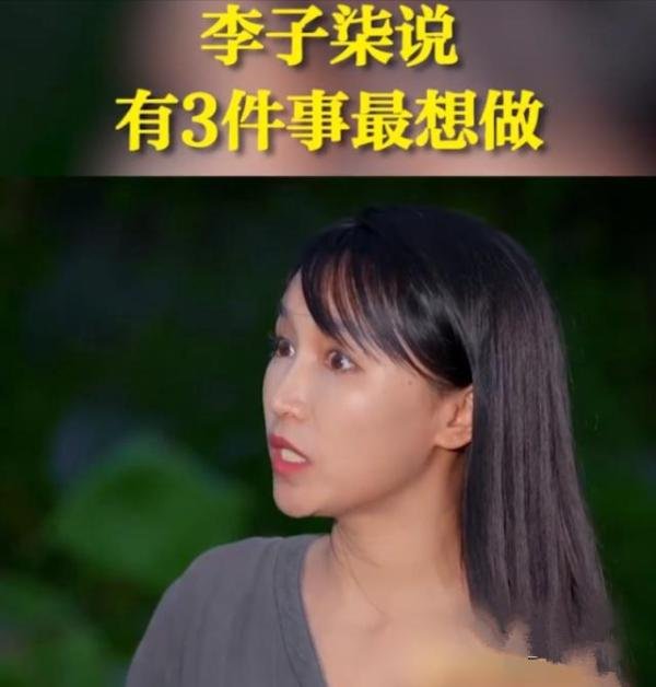 李子柒停更数月后上央视专访,与鲁健谈未来规划,想做好三件事