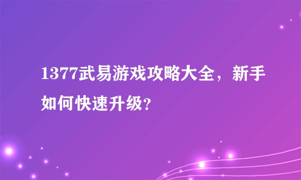 1377武易游戏攻略大全，新手如何快速升级？