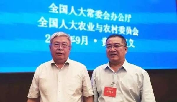 猪肉涨价背后的获利者：这位江西富豪7月卖了91万头猪，赚了87亿