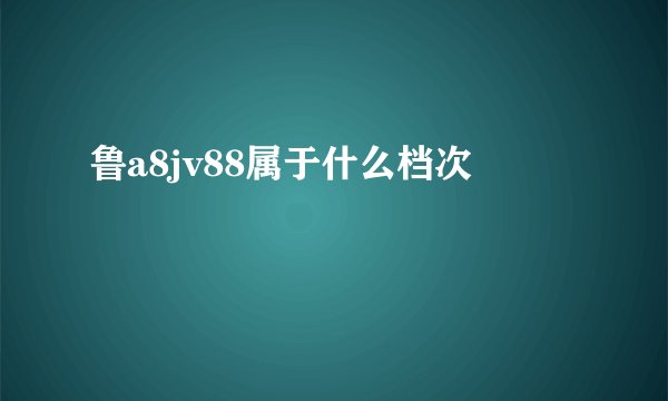 鲁a8jv88属于什么档次