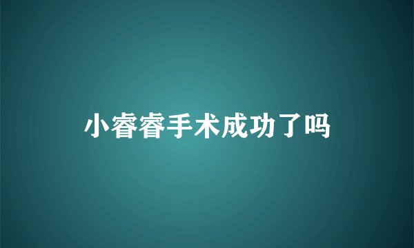 小睿睿手术成功了吗