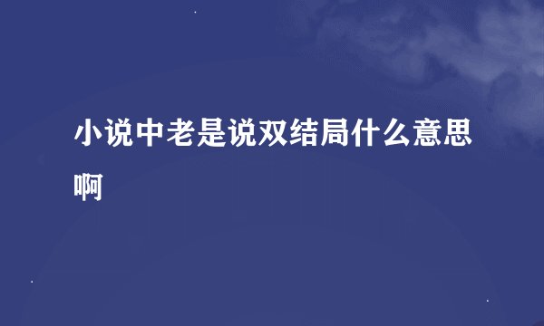小说中老是说双结局什么意思啊