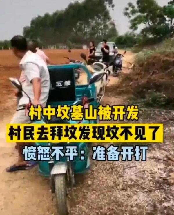 广西男子回乡扫墓,自家坟头竟被推成甘蔗地,男子:没人通知,无地祭拜