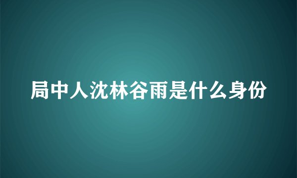 局中人沈林谷雨是什么身份