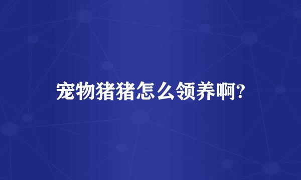 宠物猪猪怎么领养啊?