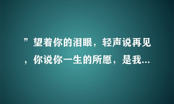 ”望着你的泪眼，轻声说再见，你说你一生的所愿，是我明媚的笑脸”是哪首歌的歌词？