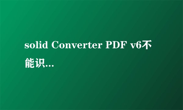 solid Converter PDF v6不能识别简体中文
