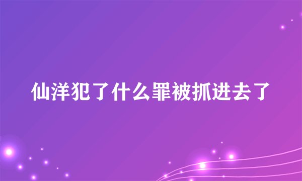 仙洋犯了什么罪被抓进去了