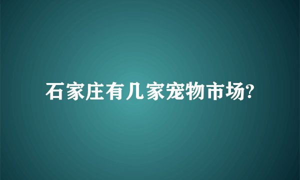 石家庄有几家宠物市场?