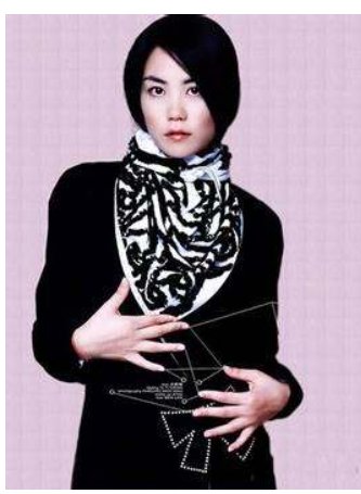 哪位大佬有 王菲演唱会，有这个演出的百度网盘吗？