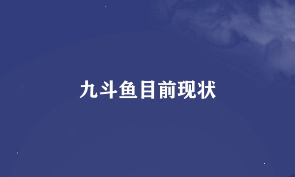 九斗鱼目前现状