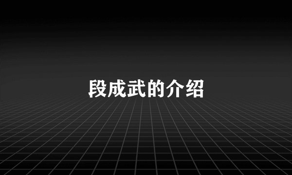 段成武的介绍