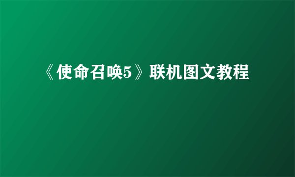 《使命召唤5》联机图文教程