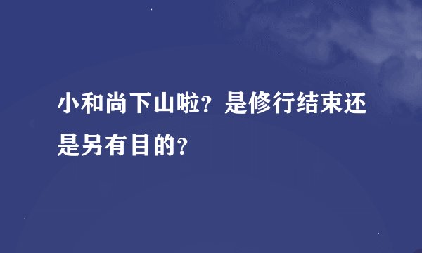 小和尚下山啦？是修行结束还是另有目的？