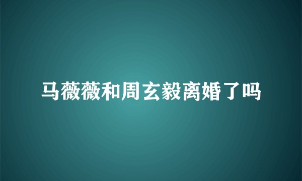 马薇薇和周玄毅离婚了吗