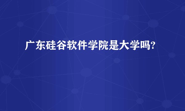 广东硅谷软件学院是大学吗?