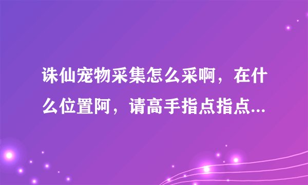 诛仙宠物采集怎么采啊，在什么位置阿，请高手指点指点阿，我的85级?