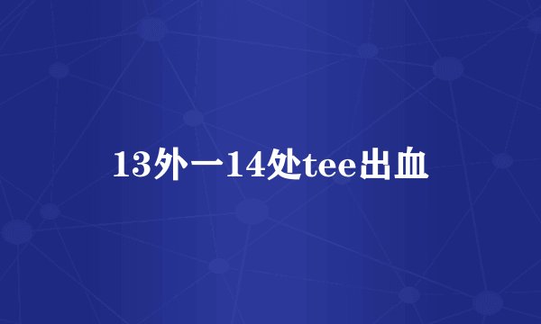 13外一14处tee出血