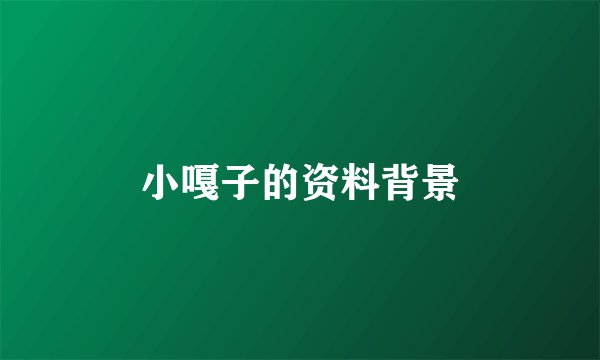 小嘎子的资料背景