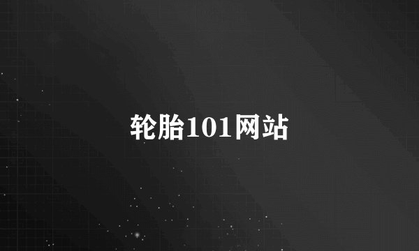 轮胎101网站
