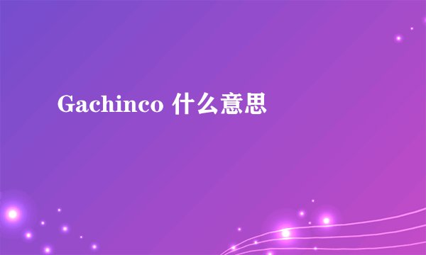 Gachinco 什么意思