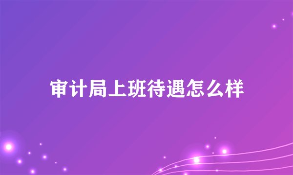 审计局上班待遇怎么样