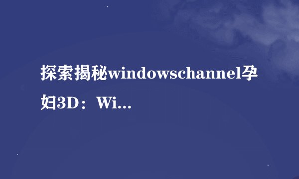 探索揭秘windowschannel孕妇3D：WindowsChannel阐明：待产3D世界