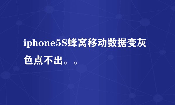 iphone5S蜂窝移动数据变灰色点不出。。