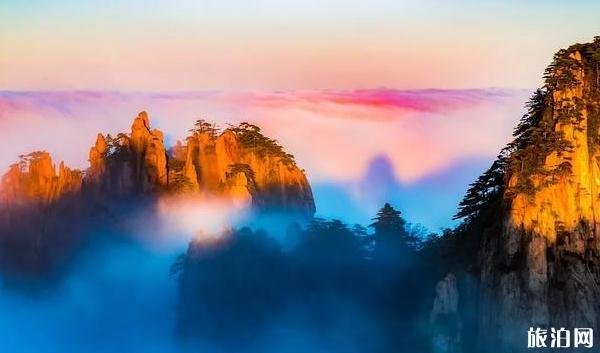 ?黄山市景区向全国医护工作者免门票1年