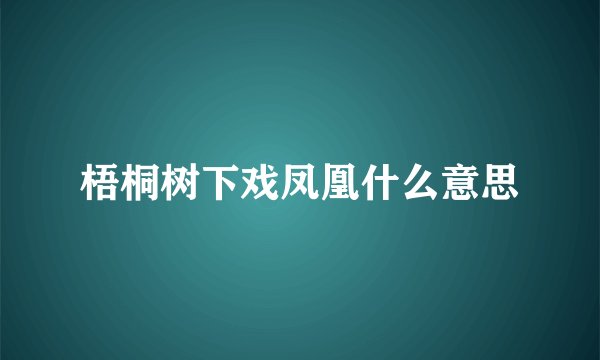 梧桐树下戏凤凰什么意思