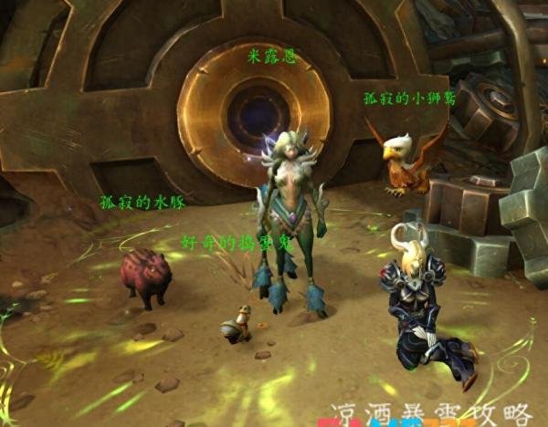 魔兽世界戴格米尔在哪里（魔兽世界真菌组织在什么地方)?