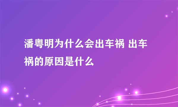 潘粤明为什么会出车祸 出车祸的原因是什么