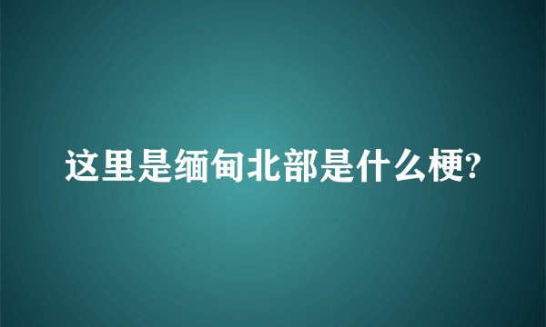 这里是缅甸北部是什么梗?