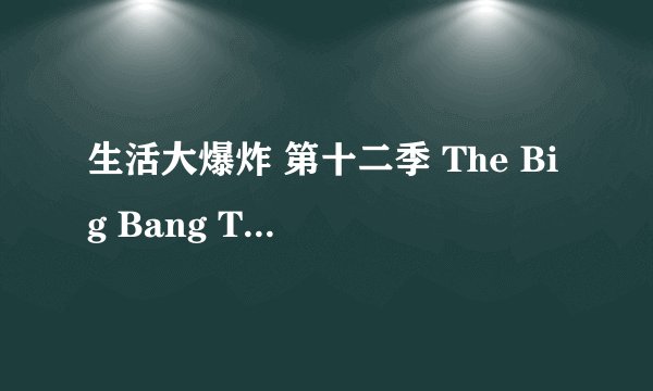 生活大爆炸 第十二季 The Big Bang Theory Season 12 (2018)全集未删减高清版免费下载
