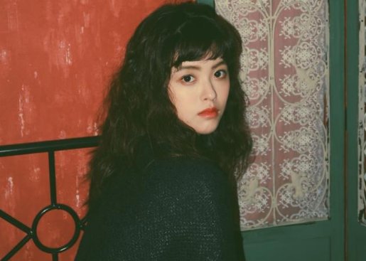 宋芳园的个人资料