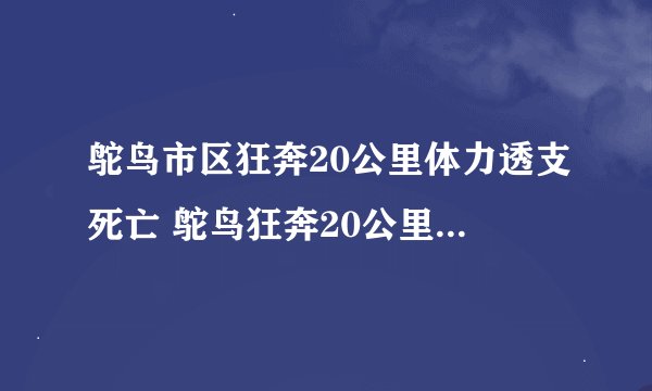 鸵鸟市区狂奔20公里体力透支死亡 鸵鸟狂奔20公里体力透支死亡的原因